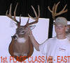 Class VII Winner
