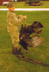 Boyd_2copy.jpg (193108 bytes)